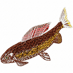Fishes Embroidery Design 4 Fishes Embroidery Design 4